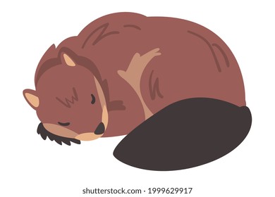 Cute Brown Sleeping Beaver, Wild Rodent Mammal Animal Cartoon Vektorgrafik