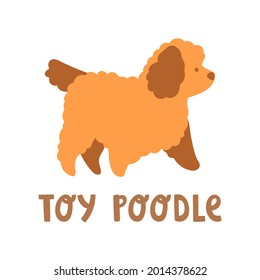 Cute brown small puppy toy poodle. Vector illustration of lovely pet with text lettering. Dog character design. Adopt a pet. Cartoon doodle artwork. Fluffy puppy