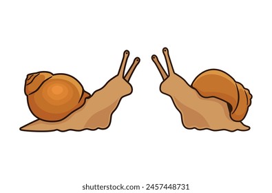 Conjunto de iconos de caracol marrón lindo Vector aislado sobre un fondo blanco. Ilustración vectorial de dos caracoles. Un par de caracoles personaje de dibujos animados