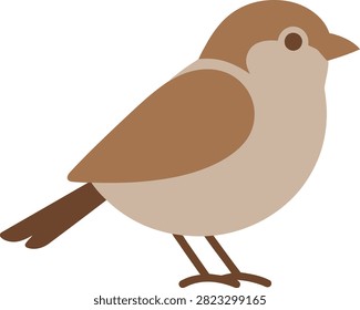 Cute brown sparrow bird facing right vector illustration with wildlife illustration isolated passerine ornithology character