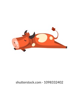 Cute brown spotted cow sleeping, funny farm animal cartoon character vector Illustration on a white background