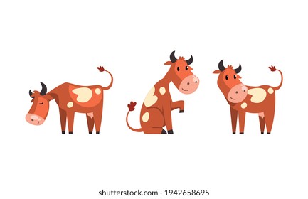 Cute Brown Spotted Cow in Various Actions Set, Funny Farm Animal Character Cartoon Vector Illustration