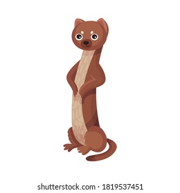 Cute Brown Stoat or Weasel as Carnivore Forest Animal Vector Illustration
