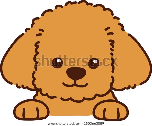 Cute Brown Toy Poodle Front Face Stock Vector (Royalty Free) 1503663089