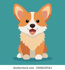 A cute brown and white corgi dog is sitting on a vibrant blue background