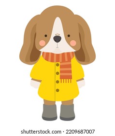 Cute brown and white dog with big floppy ears, wearing a raincoat, scarf and boots.