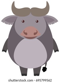 Cute buffalo on white background illustration