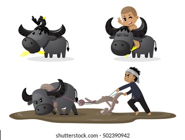Búfalo lindo en varias acciones, de pie comiendo paja con estorninos o minas, de pie comiendo paja con niños graciosos y arando un campo con granjeros.