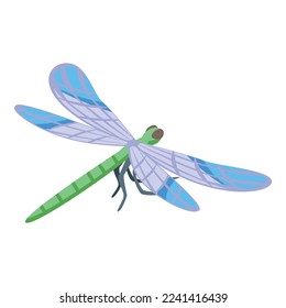Cute bug icon isometric vector. Wing insect. Macro fly