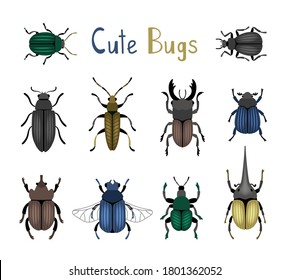 Cute bug icon set. Cartoon nature of macro insects, cute small colorful beetles, vector illustration of entomology science creatures isolated on white background
