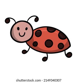 Cute bug, red ladybug, insect, cartoon vector illustration on white background