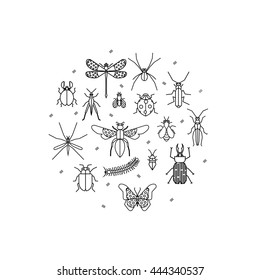 Cute bugs and insects circle design element made in vector. Thin line symbols of different insects. Outline concept for house decoration, t-shirt design.
