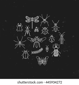 Cute bugs and insects circle design element made in vector. Thin line symbols of different insects. Colorful concept for house decoration, t-shirt design.