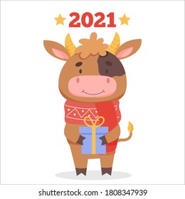 Cute bull with a Christmas gift in a scarf. Symbol of 2021. New Year and Christmas design. Vector flat illustration in cartoon style.