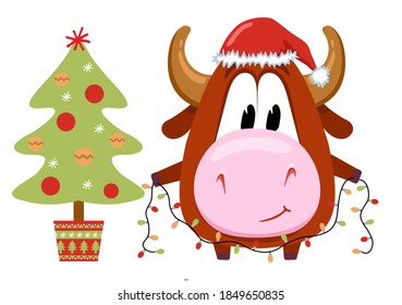 Cute bull decorates Christmas tree. Chinese new year 2021 illustration with ox holding garland decorating for christmas tree. Vector illustration.Isolated on white.
