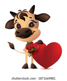 Cute bull holding heart and bouquet of roses valentines day gift. Isolated on white vector cartoon illustration