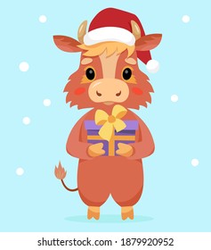 Cute bull holds a gift box. A cow in a hat holds a gift. Vector illustration.

