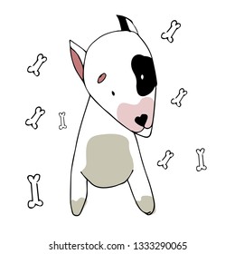 Cute Bull Terrier