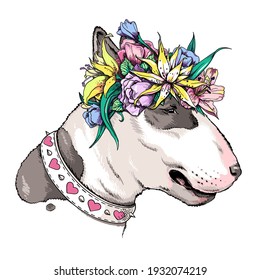 Cute bull terrier dog in floral wreath. Vector illustration in hand-drawn style. Image for printing on any surface