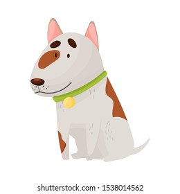 Cute bull terrier. Vector illustration on a white background.