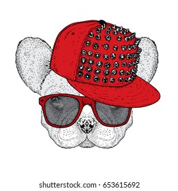 Cute bulldog in a cap with thorns and glasses. Vector illustration for a postcard or a poster. Funny dog. Animal in clothes.