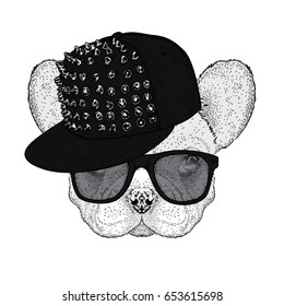Cute bulldog in a cap with thorns and glasses. Vector illustration for a postcard or a poster. Funny dog. Animal in clothes.