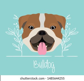 cute bulldog dog pet head character