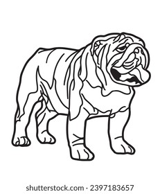 cute bulldog dog pose black and white