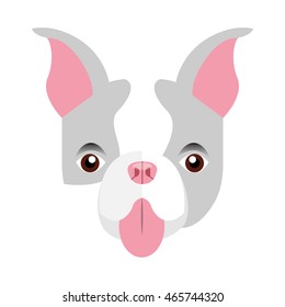 cute bulldog isolated icon vector illustration design