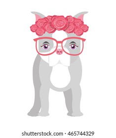cute bulldog isolated icon vector illustration design