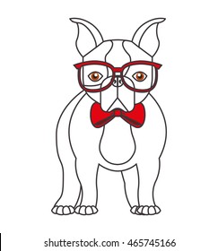 cute bulldog isolated icon vector illustration design