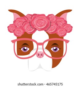 cute bulldog isolated icon vector illustration design