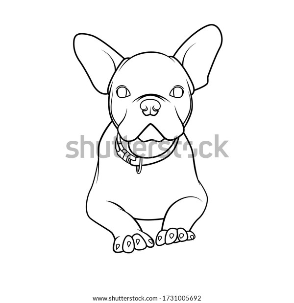 Cute Bulldog Line Drawing Coloring Book Stock Vector (Royalty Free
