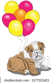 
Cute bulldog puppy holds balloons in his teeth.  Postcard, poster, composition for t-shirts, print in the style of hand-drawn