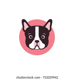 Cute Bulldog Vector