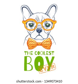 Cute bulldogdog t-shirt print design. Cool animal vector in doodle hand drawn style for tee, child, baby funny apparel. Puppy character poster & hipster element. Fashion illustration isolated on white