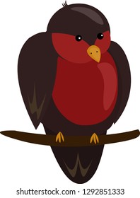 cute  bullfinch bird