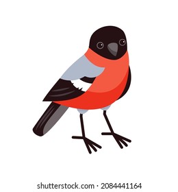 A cute bullfinch in a cartoon style is standing isolated on a white background. Winterbirds. Vector flat illustration.