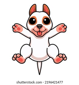 Cute bully kutta cartoon posing