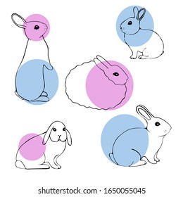 Cute bunnies set in contours. Rabbits, hares. illustration. Easter symbol, design element, label or card 