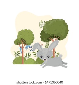 cute bunny with background landscape