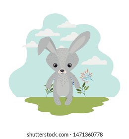 cute bunny with background landscape
