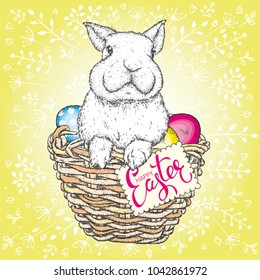 Cute Cute bunny in a basket with Easter eggs. Vector illustration. Spring holiday.
