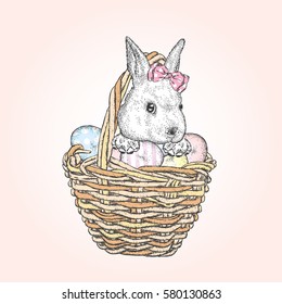 Cute bunny in a basket with Easter eggs. Vector illustration. Spring holiday.
