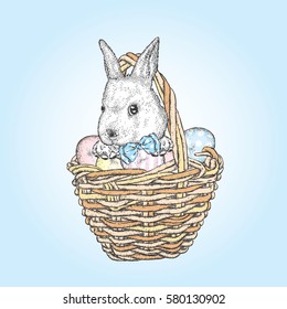 Cute bunny in a basket with Easter eggs. Vector illustration. Spring holiday.
