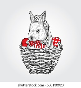 Cute bunny in a basket with Easter eggs. Vector illustration. Spring holiday.
