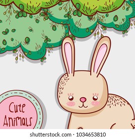 Cute bunny cartoon