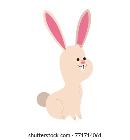 Cute bunny cartoon