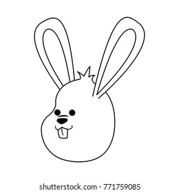 Cute bunny cartoon