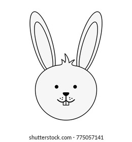 Cute bunny cartoon